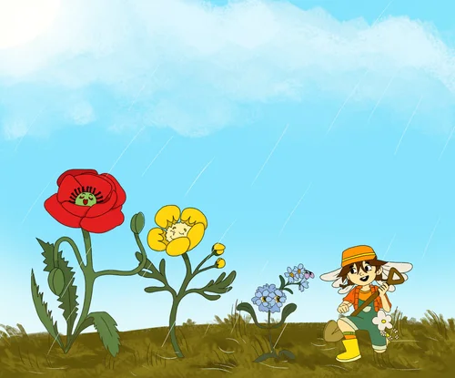 Daisy with a poppy, buttercup and forget-me-nots in the rain